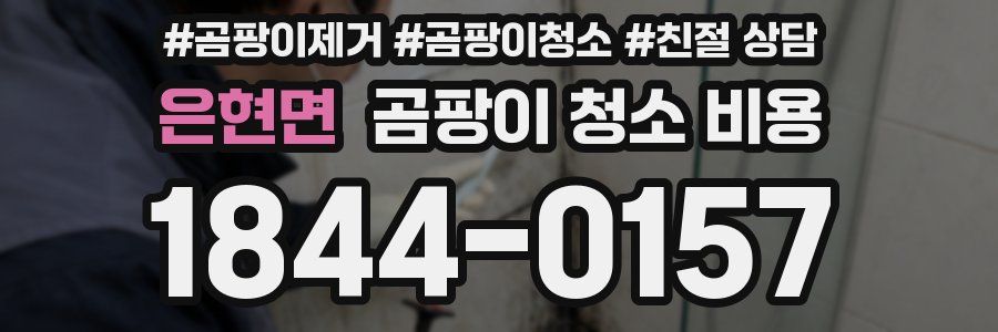 은현면 곰팡이 청소 비용