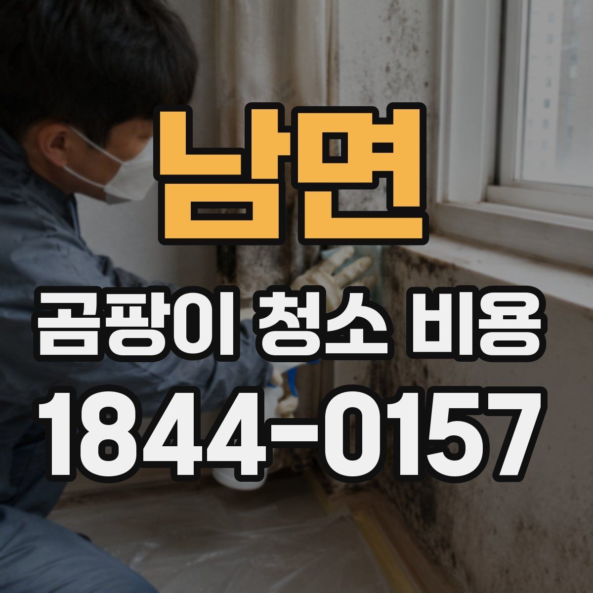 남면 곰팡이 청소 비용 알아볼 때 먼저 보는 기준