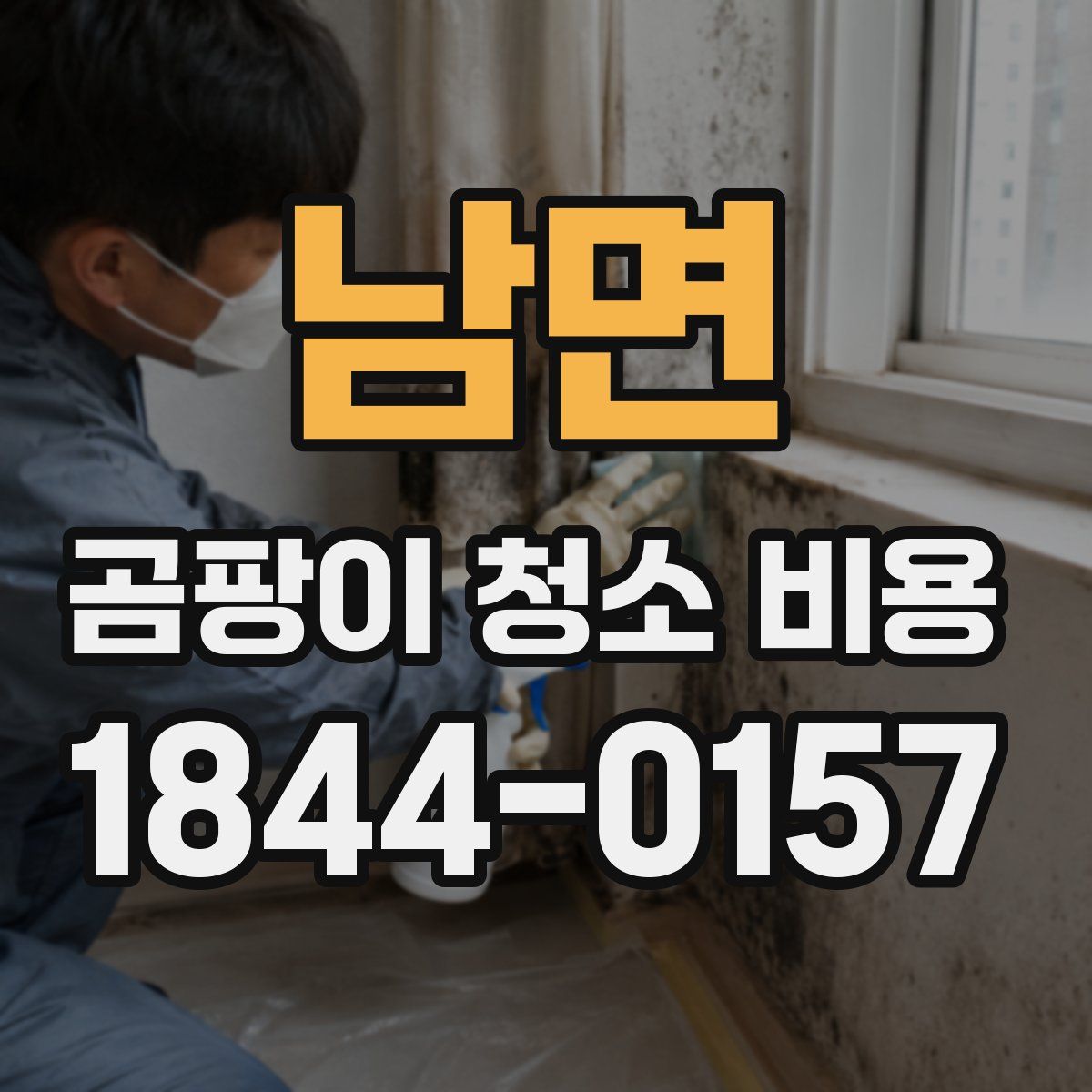 남면 곰팡이 청소 비용