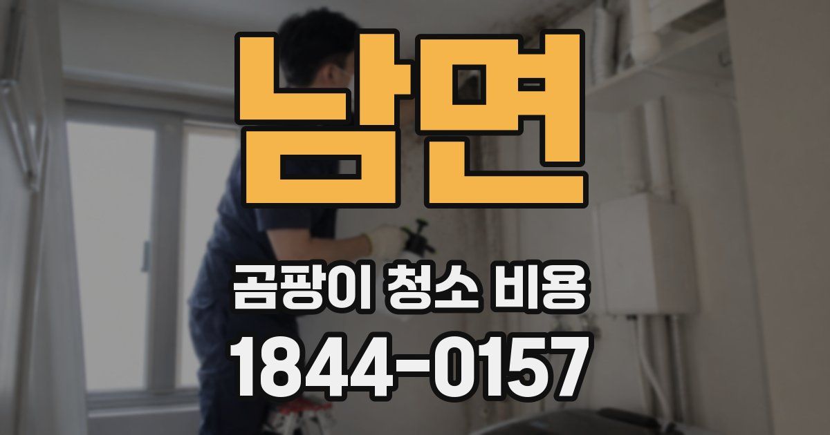 남면 곰팡이 청소 비용