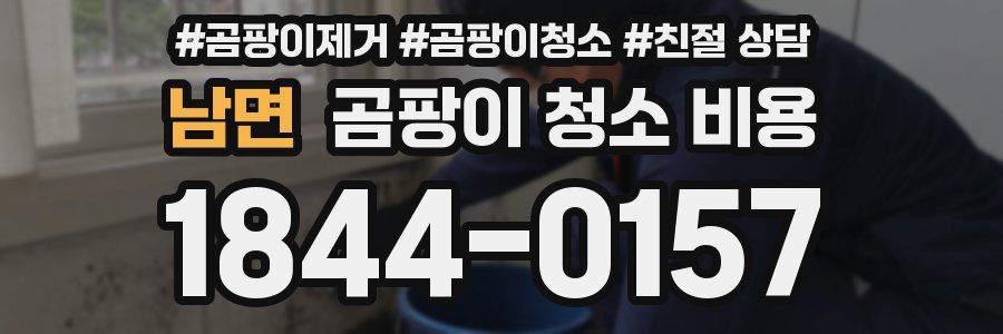 남면 곰팡이 청소 비용