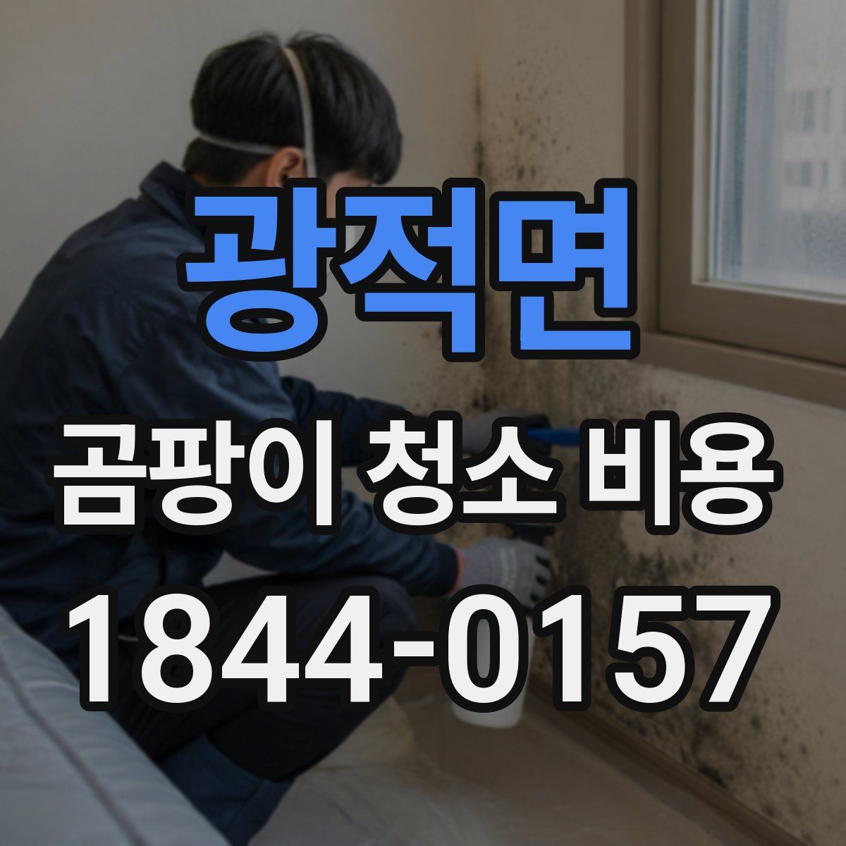 광적면 곰팡이 청소 비용