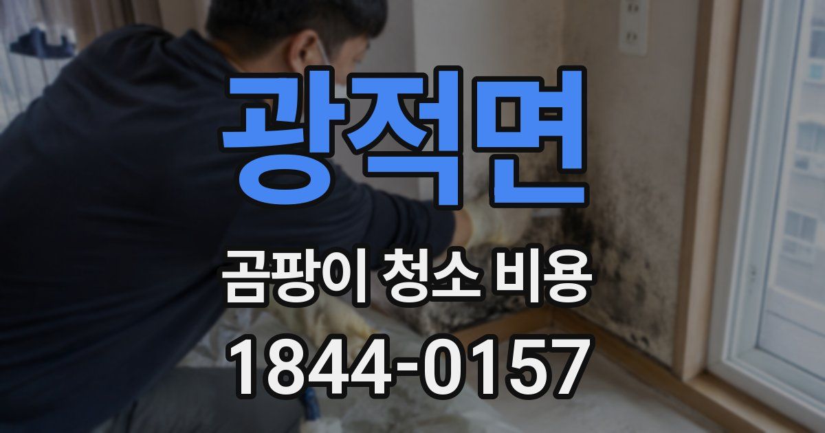 광적면 곰팡이 청소 비용