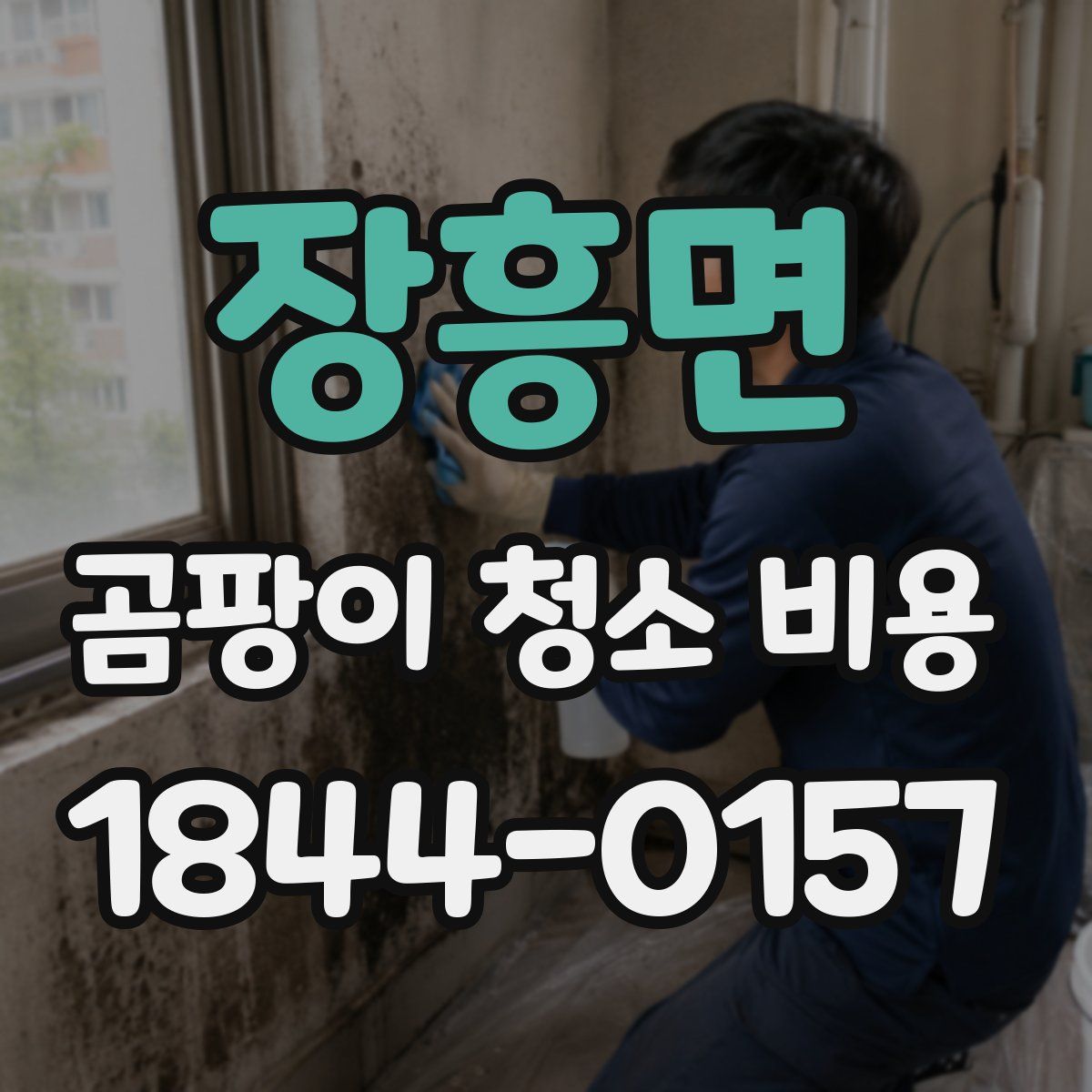 장흥면 곰팡이 청소 비용