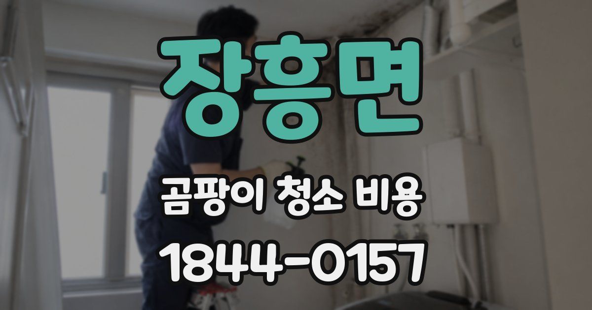 장흥면 곰팡이 청소 비용