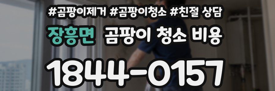 장흥면 곰팡이 청소 비용