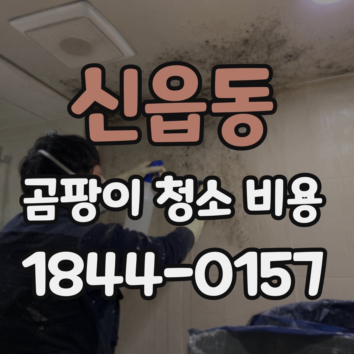 신읍동 곰팡이 청소 비용