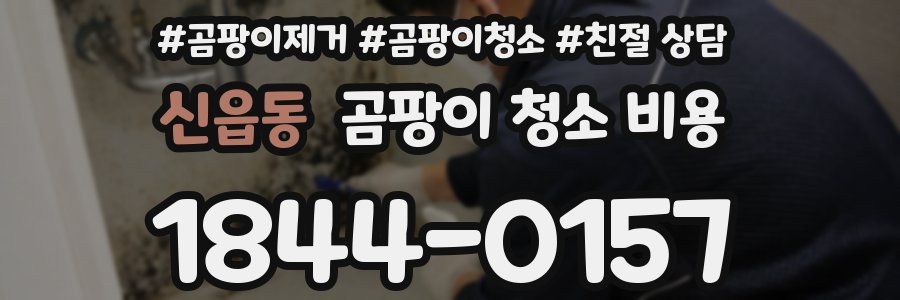 신읍동 곰팡이 청소 비용