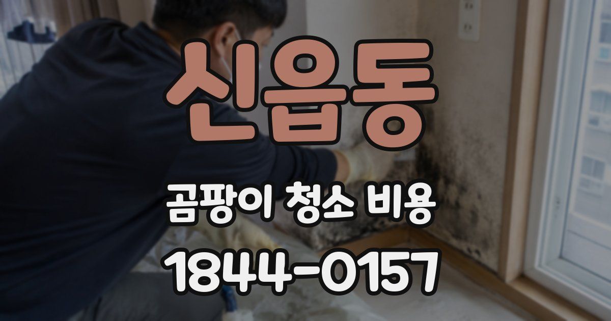 신읍동 곰팡이 청소 비용