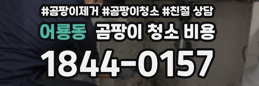 어룡동 곰팡이 청소 비용