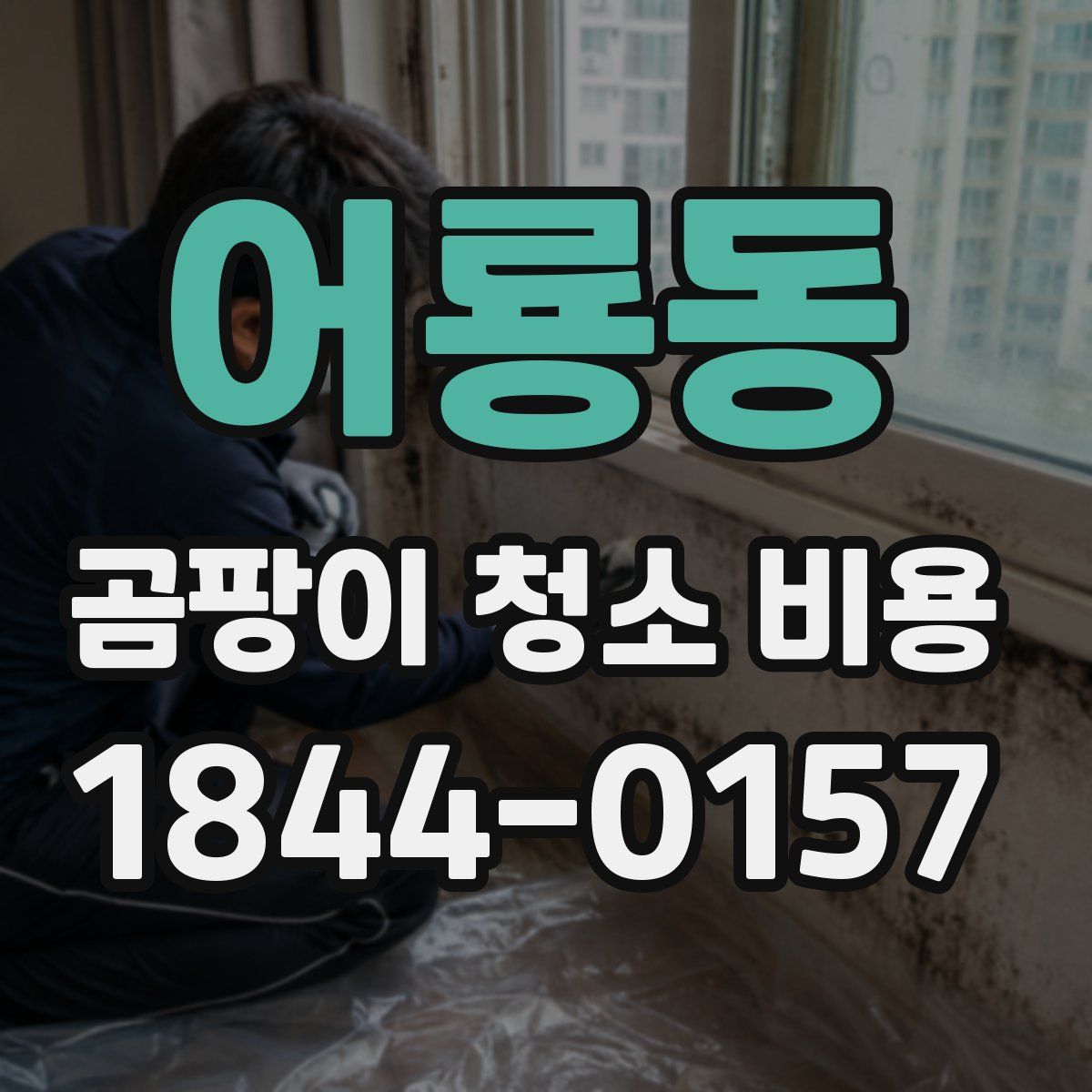 어룡동 곰팡이 청소 비용