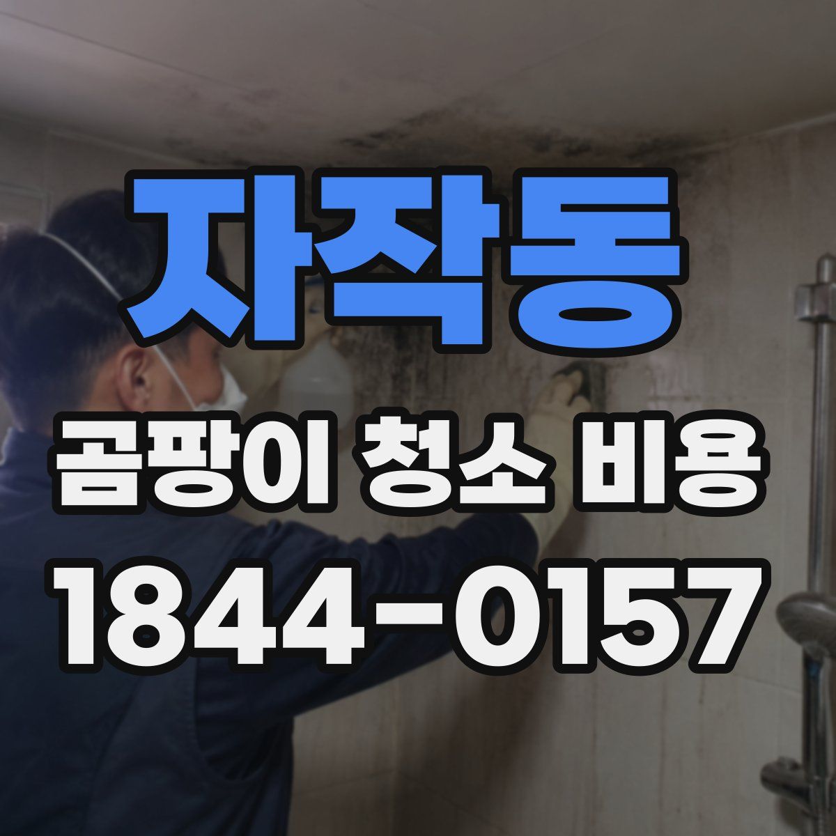 자작동 곰팡이 청소 비용
