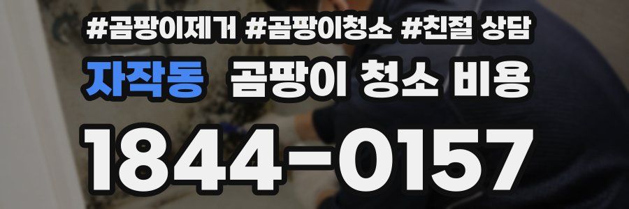 자작동 곰팡이 청소 비용