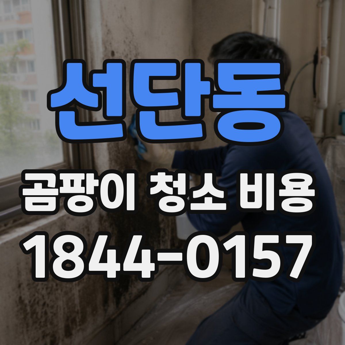 선단동 곰팡이 청소 비용