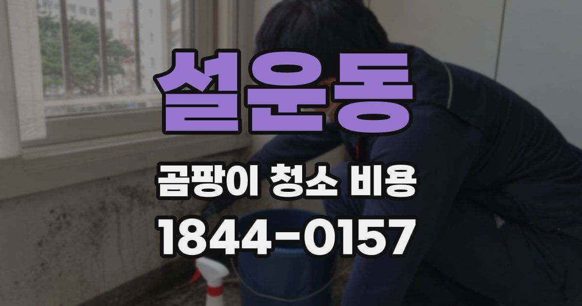 설운동 곰팡이 청소 비용