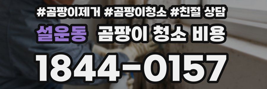 설운동 곰팡이 청소 비용