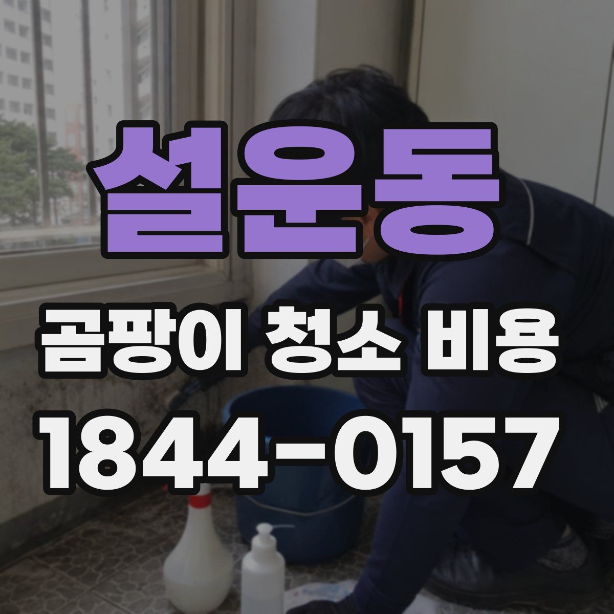 설운동 곰팡이 청소 비용