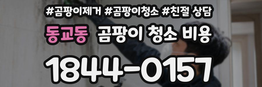 동교동 곰팡이 청소 비용