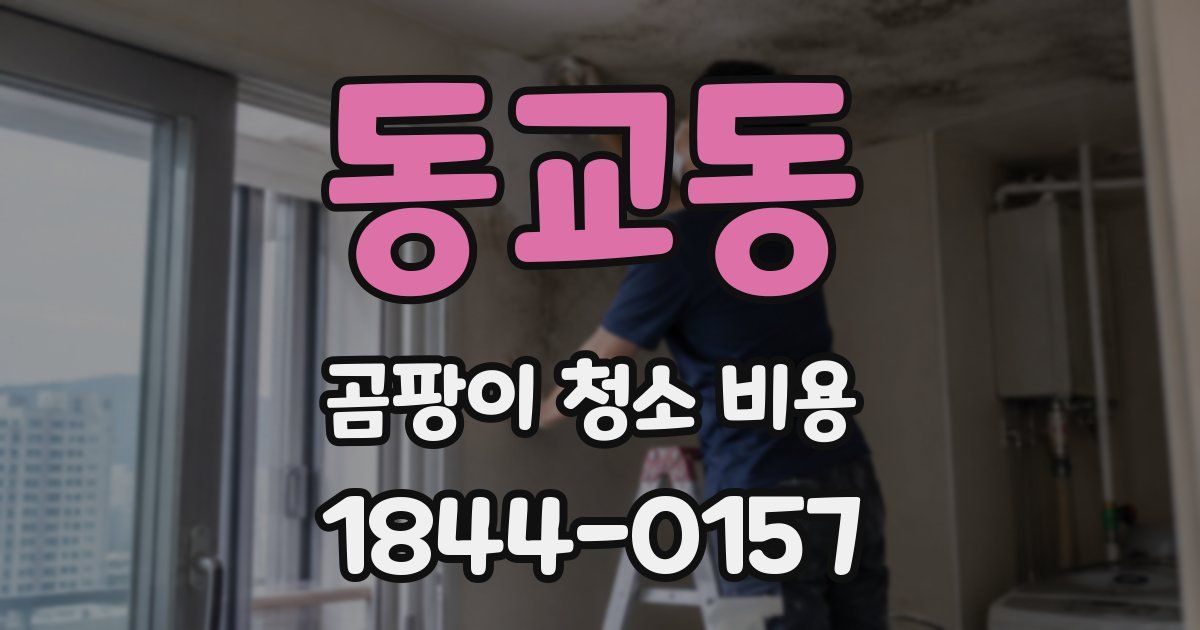 동교동 곰팡이 청소 비용