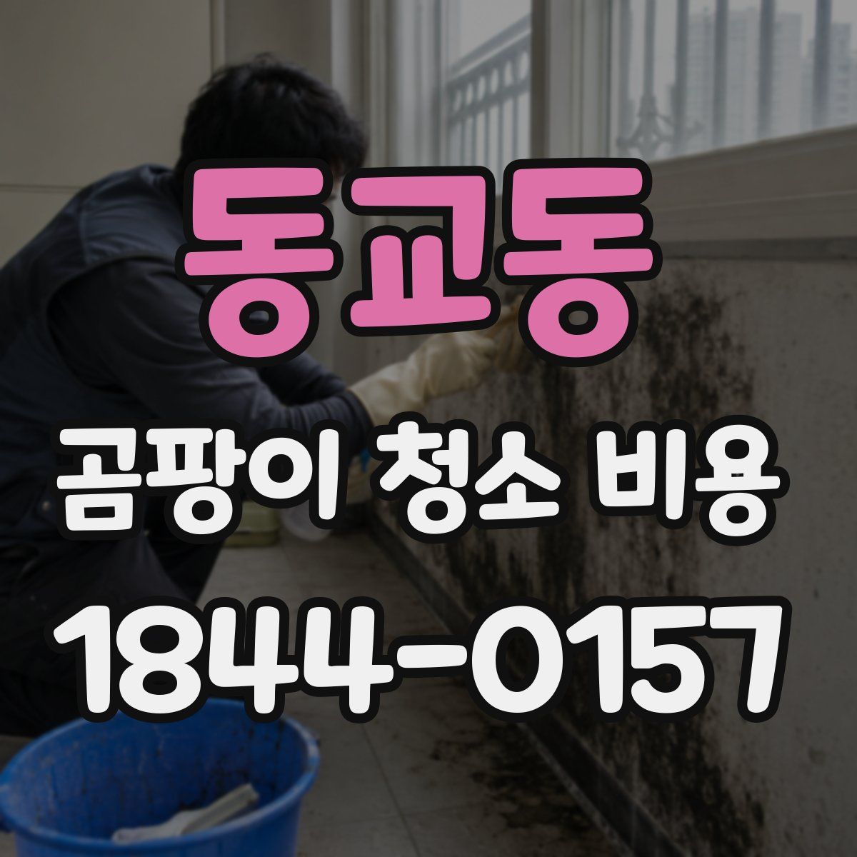동교동 곰팡이 청소 비용