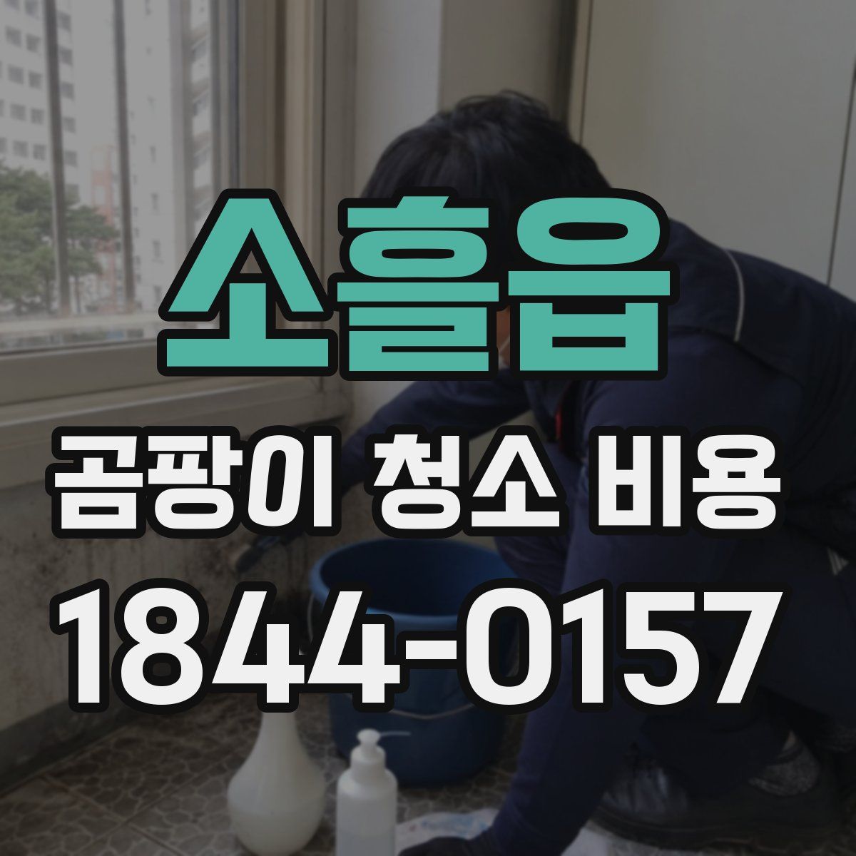 소흘읍 곰팡이 청소 비용