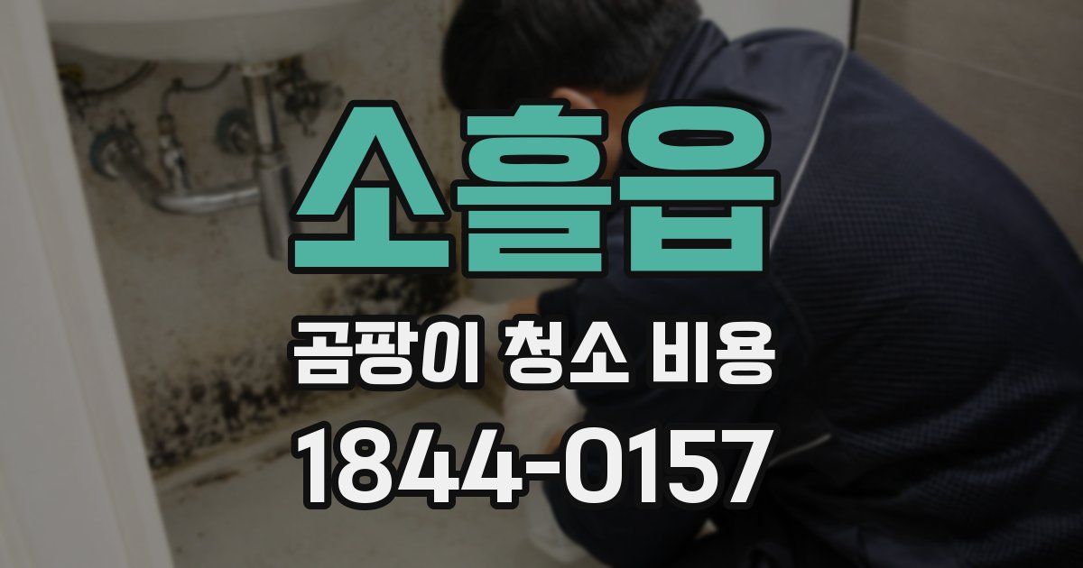 소흘읍 곰팡이 청소 비용