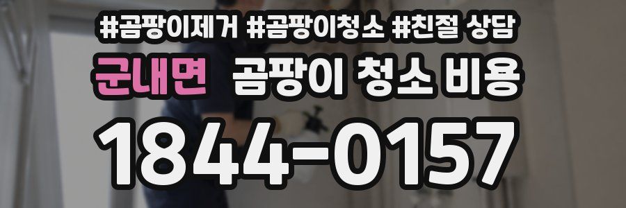 군내면 곰팡이 청소 비용