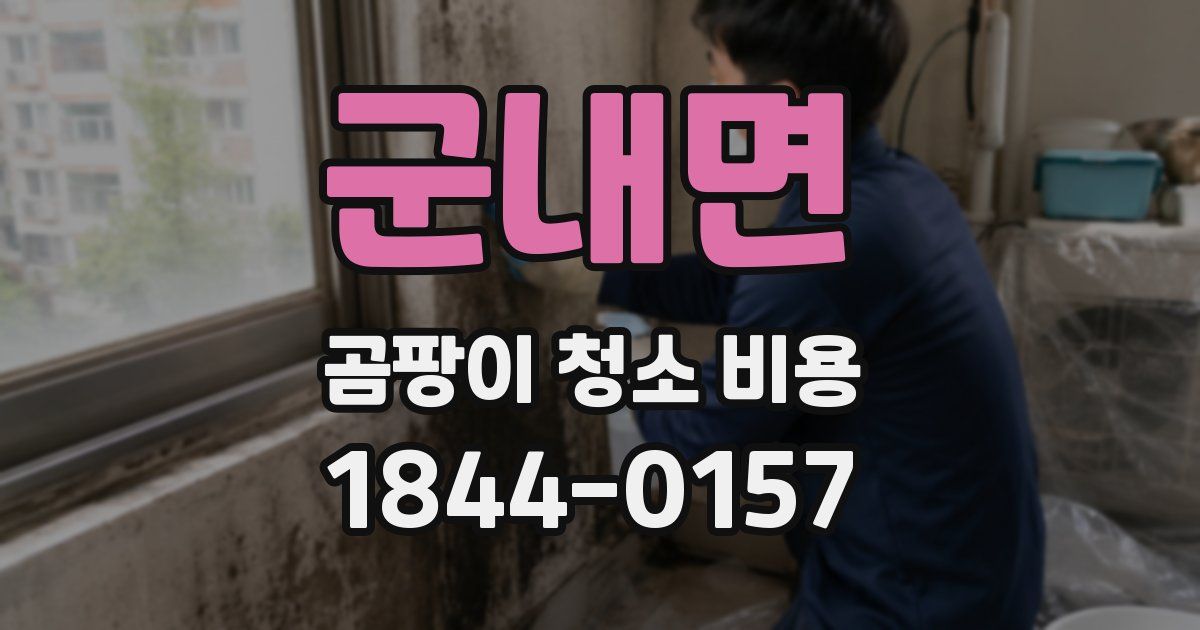 군내면 곰팡이 청소 비용