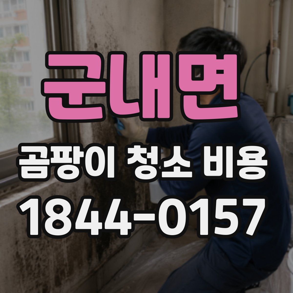 군내면 곰팡이 청소 비용
