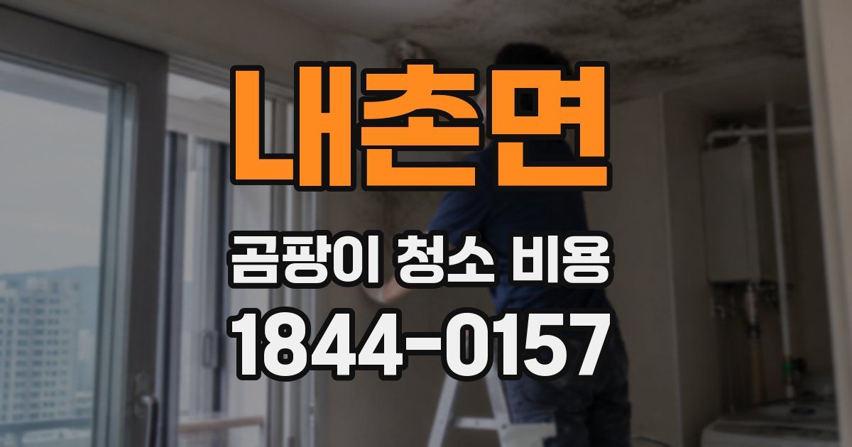 내촌면 곰팡이 청소 비용