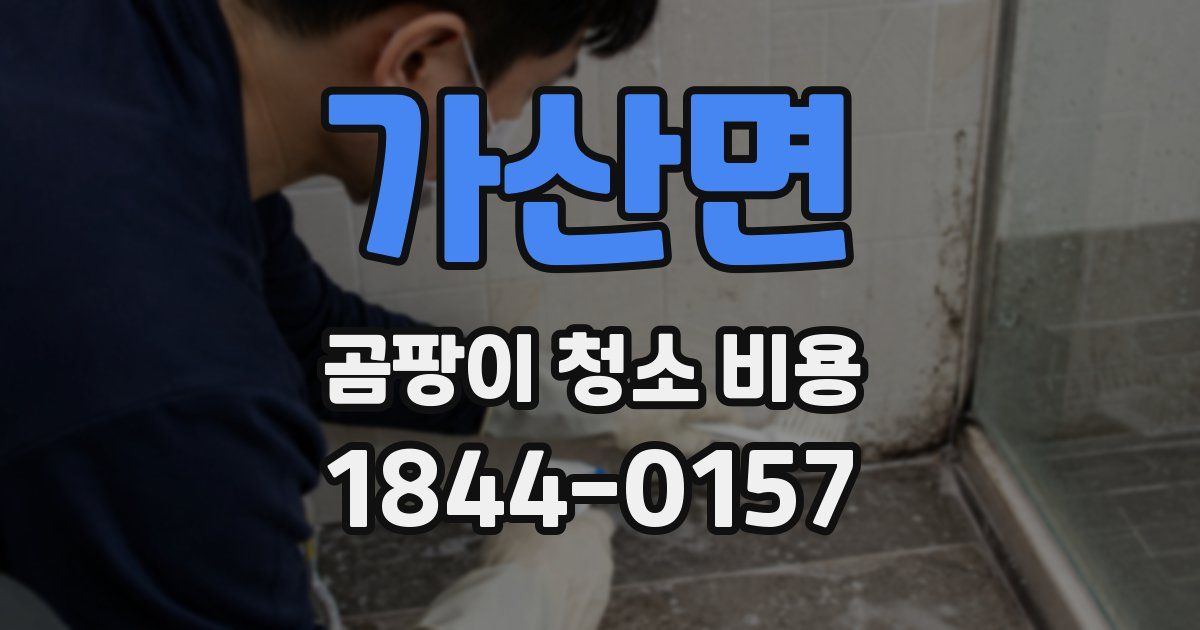 가산면 곰팡이 청소 비용