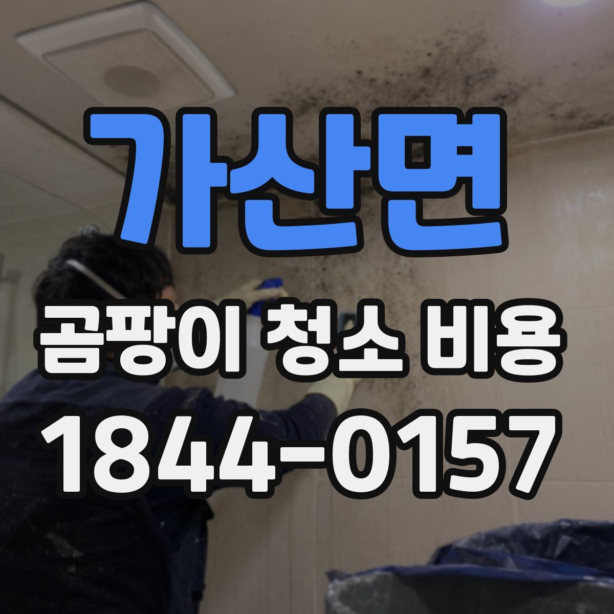 가산면 곰팡이 청소 비용