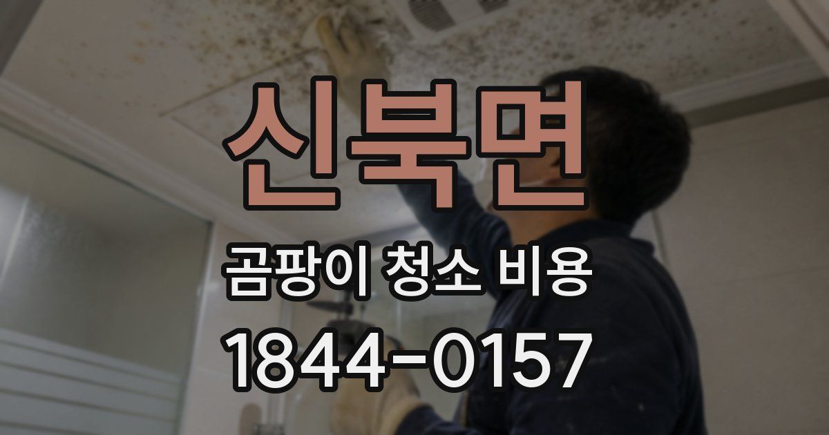 신북면 곰팡이 청소 비용