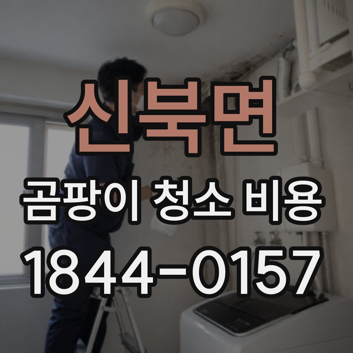 신북면 곰팡이 청소 비용