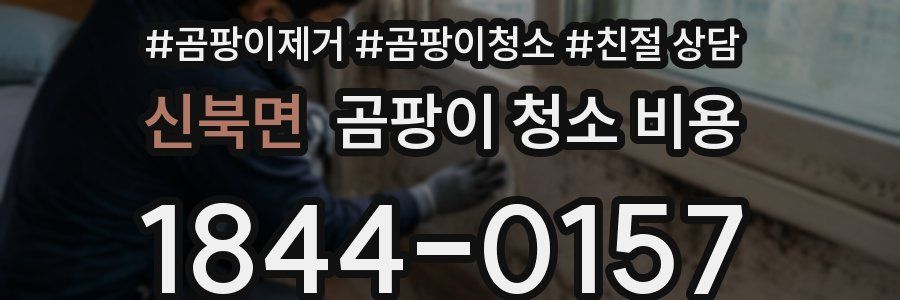 신북면 곰팡이 청소 비용