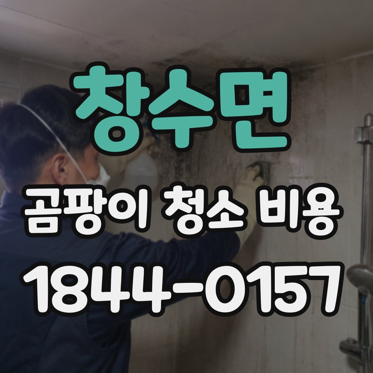 창수면 곰팡이 청소 비용