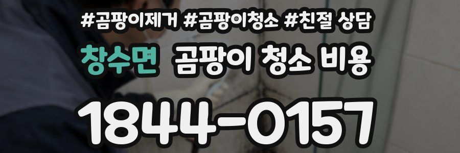 창수면 곰팡이 청소 비용