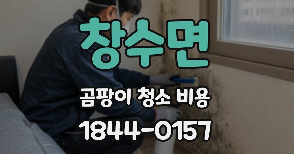 창수면 곰팡이 청소 비용