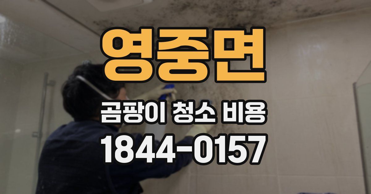 영중면 곰팡이 청소 비용