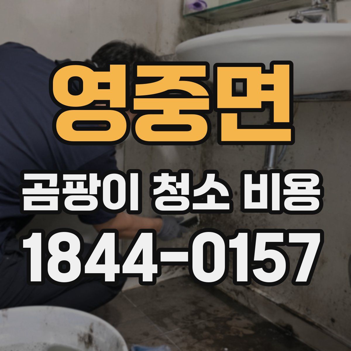 영중면 곰팡이 청소 비용