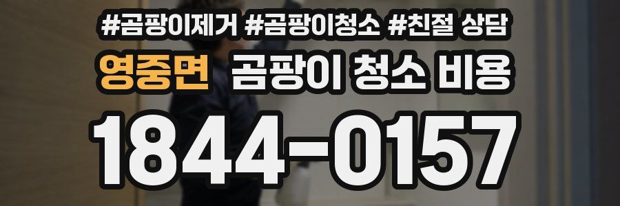 영중면 곰팡이 청소 비용