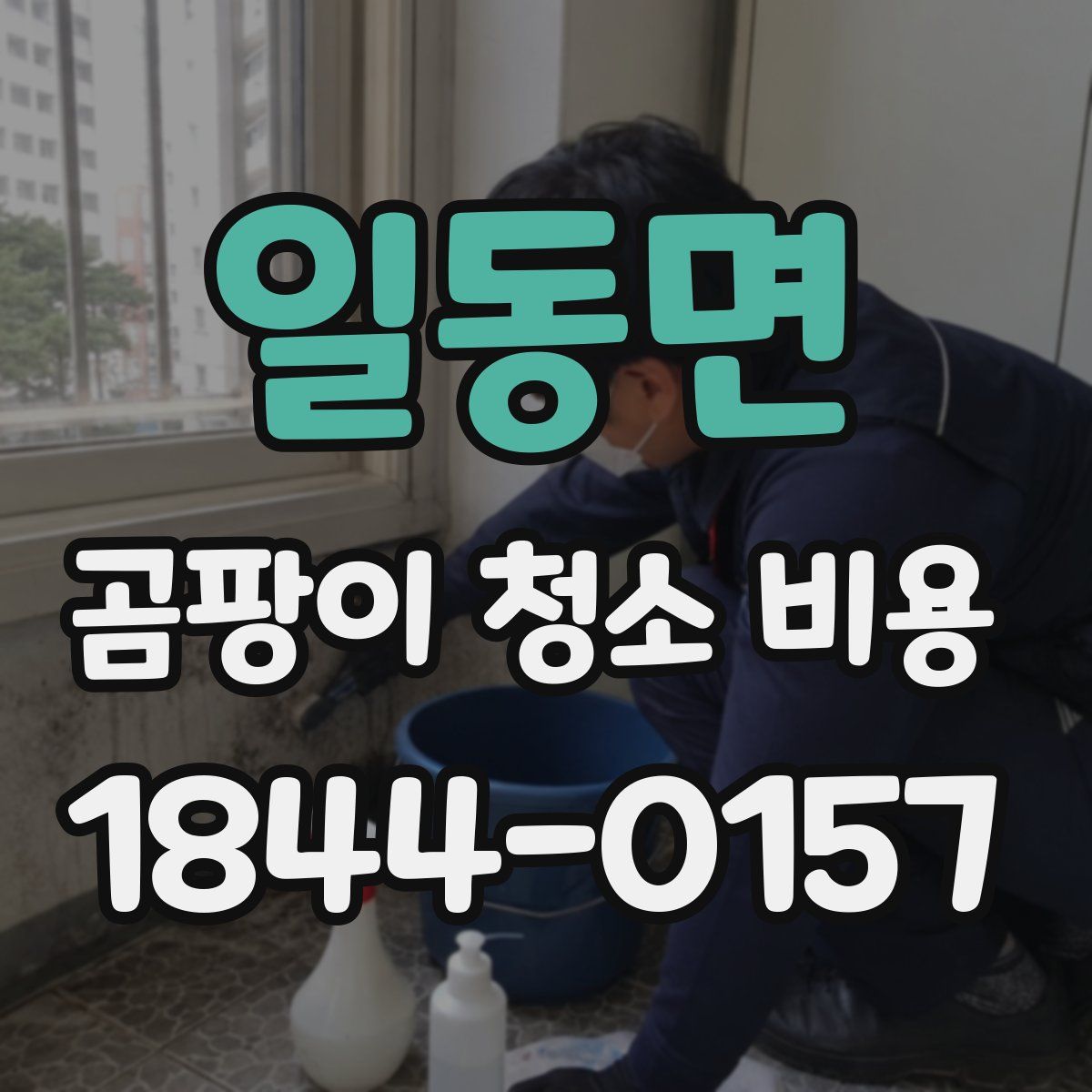 일동면 곰팡이 청소 비용