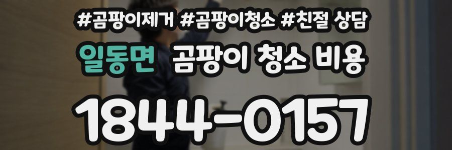 일동면 곰팡이 청소 비용