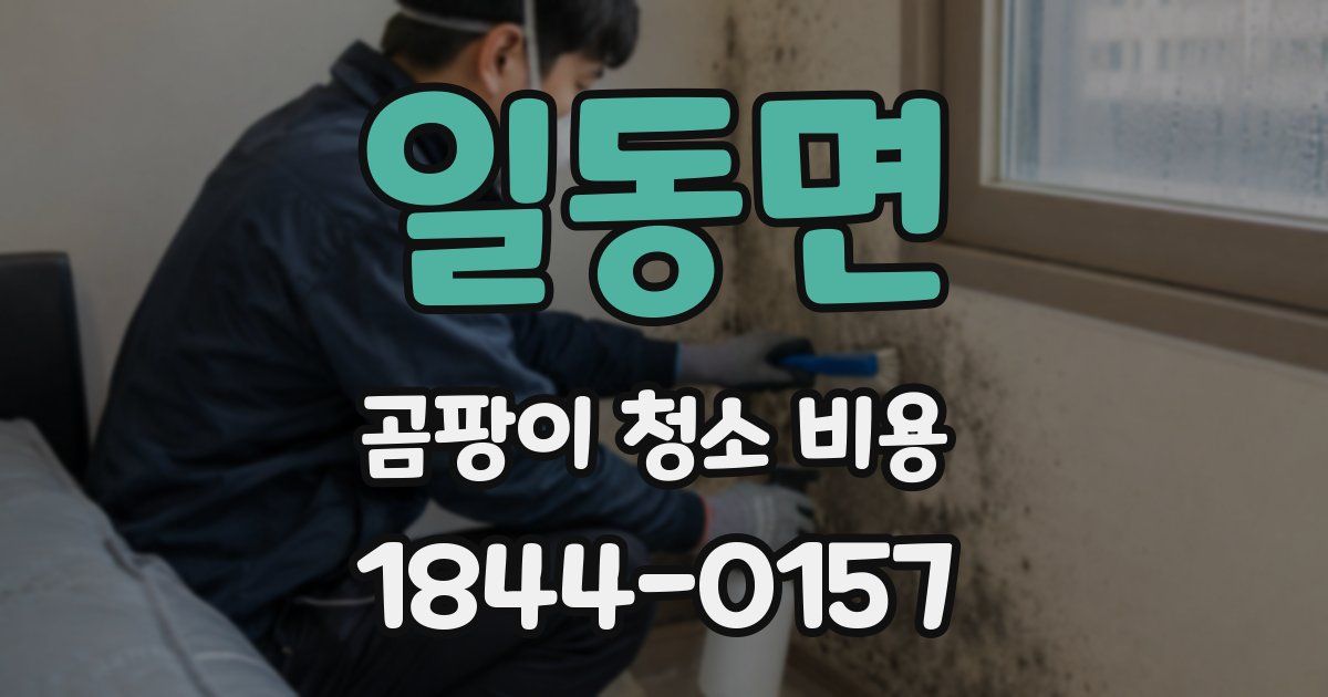 일동면 곰팡이 청소 비용