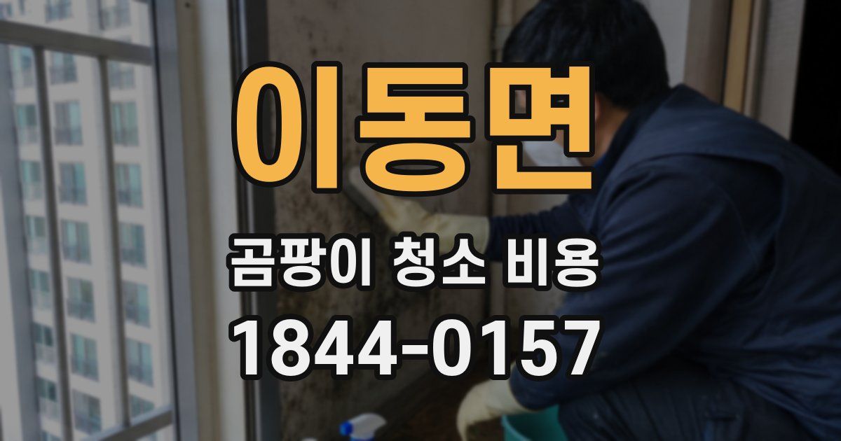 이동면 곰팡이 청소 비용