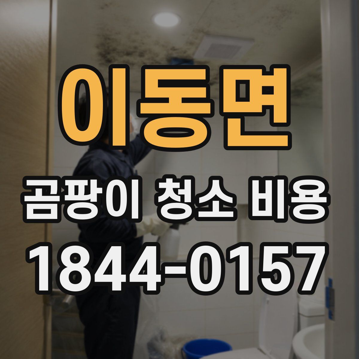 이동면 곰팡이 청소 비용