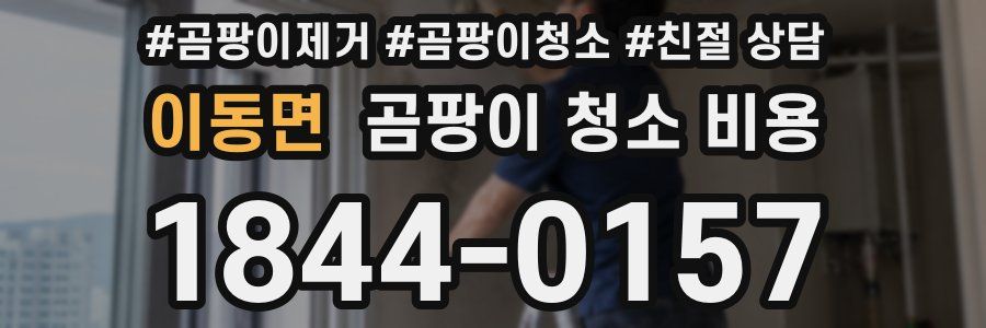 이동면 곰팡이 청소 비용
