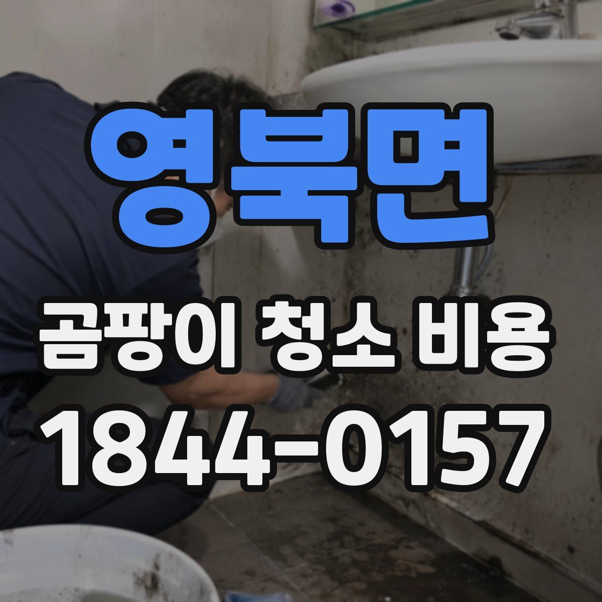 영북면 곰팡이 청소 비용