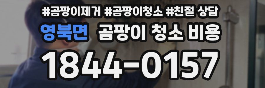 영북면 곰팡이 청소 비용