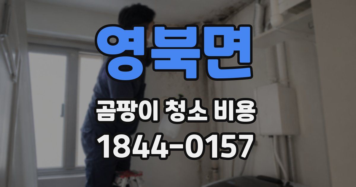 영북면 곰팡이 청소 비용